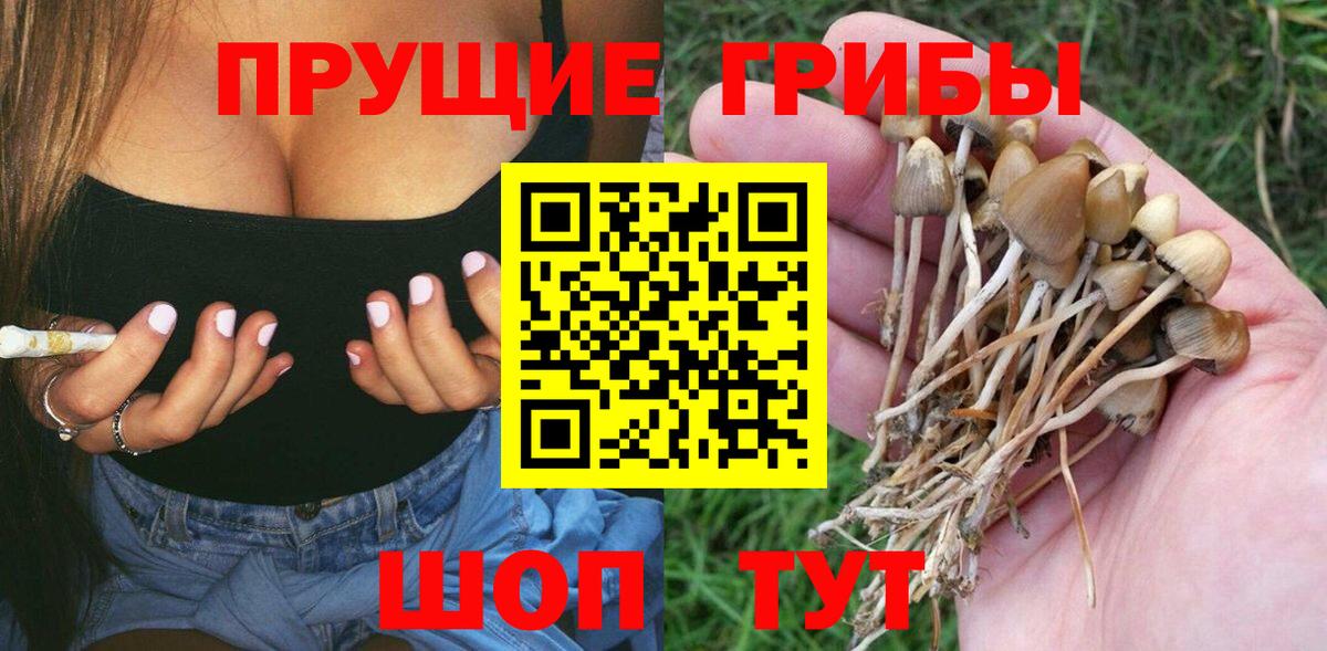 Галлюциногенные грибы ЛСД Всеволожск