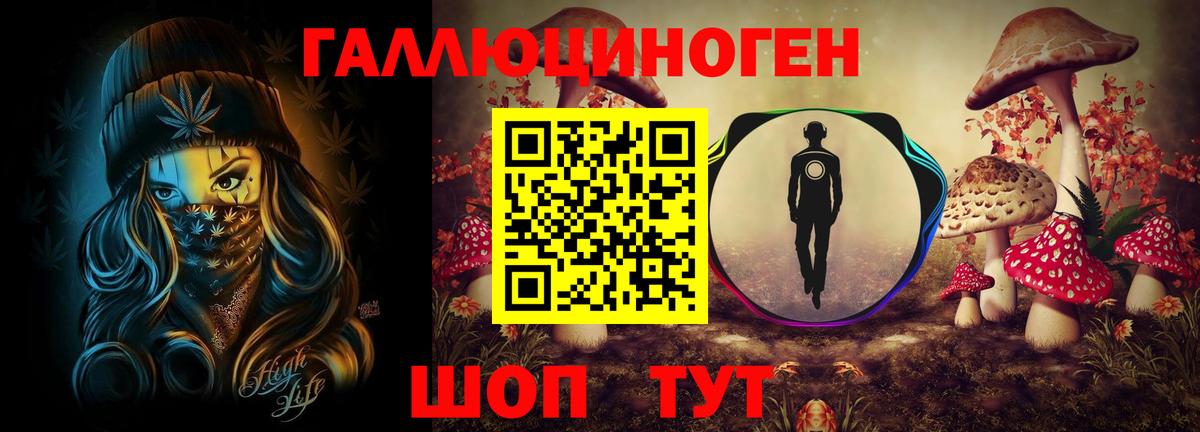 Псилоцибиновые грибы GOLDEN TEACHER  Галлюциногенные грибы GOLDEN TEACHER  дарнет шоп  Вход с VPN  Всеволожск 