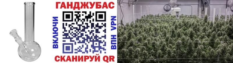Каннабис план Всеволожск